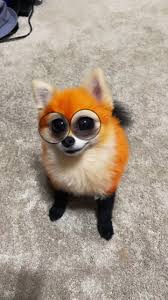 Lia was born in liverpool, england in 1992, but at the age of 6, she and her family moved to the united states and ever since then she has resided in phoenix, arizona. Sssniperwolf Sssniperwolf Official Tiktok Watch Sssniperwolf S Newest Tiktok Videos