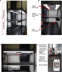 Using shop lights to grow plants. Dynamic Light Experiments And Semi Automated Plant Phenotyping Enabled By Self Built Growth Racks And Simple Upgrades To The Imaging Pam Biorxiv