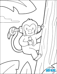 Pin On Jungles