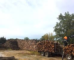 Searching for firewood near me? Best Burn Firewood Kiln Dried Wisconsin Firewood For Sale