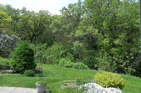 We did not find results for: 52 Oak Creek Trl Madison Wi 53717 Mls 1803735 Redfin