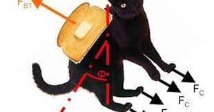 The Buttered Cat Paradox And My Mother Says Breading A Cat Is Mean This Is A Scientific Study Cats Pet Beds Funny News
