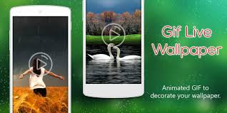 You don't need any special settings on your phone, as root for example. Gif Live Wallpaper For Android Apk Download