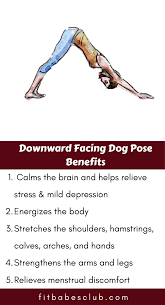 How To Do Downward Facing Dog Pose Workout For Beginners Yoga Poses Advanced Yoga Fitness