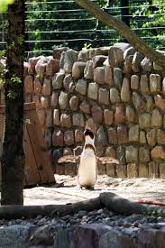 From wikimedia commons, the free media repository. Bilder Vom Besuch Im Zoologischen Garten Eberswalde