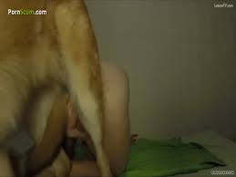 We did not find results for: Zoophilie Porno Gay Un Berger Allemand Explose Lanus Dun Gay Cagoule