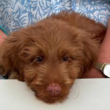 If you had to rate my cuteness