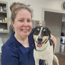 One of Edie's hobbies is dinner bowl hockey. She even knows to flip the  bowl for prime sliding position 🏒 #rescuedogs #adoptabledogs  #dogsaremedicine #sosdogrescue #strengthofshadow #pitbulls  #rescuedismyfavoritebreed