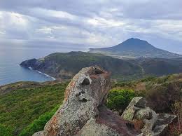 Image result for Staudtia