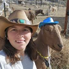 Where can I purchase a goat?