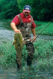Three Feeding Patterns You Should Know For Catfish