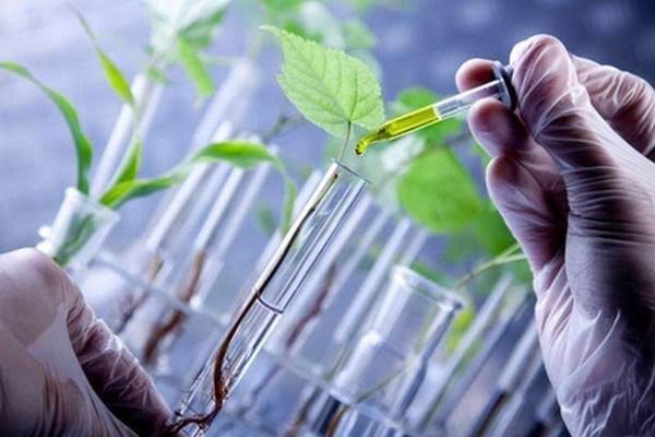 Image result for Bio-based Polypropylene"