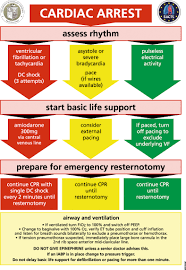 Many cardiac icus also recover patients after surgeries. Management Of Cardiac Arrest Following Cardiac Surgery Bja Education