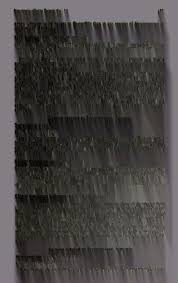 Image result for Megalastrum lanuginosum