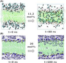 Beck's flower shop and gardens. Susceptibility Of Biomembrane Structure Towards Amphiphiles Ionic Liquids And Deep Eutectic Solvents Sciencedirect