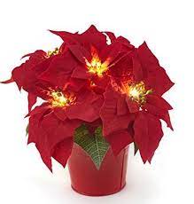 Homeseasons 10 Led Pre Lit Red Artificial Poinsettia Pla Https Www Amazon Com Dp B07hf2zykr R Poinsettia Plant Holiday Floral Arrangements Holiday Floral