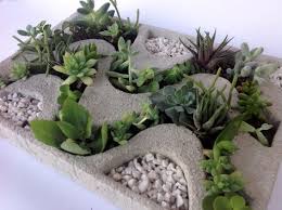 Cactus in the facepot amigurumi pattern. 78 Plantarium Ideas Concrete Diy Plant Pot Diy Tea Party Garden
