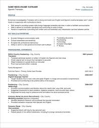south american style resume in a document
