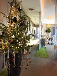 Producteur de sapins de noël près de poitiers, je vous invite à découvrir notre exploitation familiale. Decors Noel Entreprise