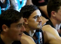 AFL Media predicts the opening round teams