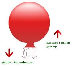 Newtons Third Law Example Newtons Third Law Newtons Laws Newtons Third Law Of Motion
