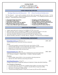 Lindsley Medlin Resume Resume Strategic Business Unit Chief Operating Officer