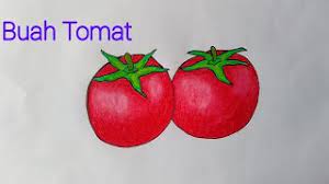 Gratis untuk komersial tidak perlu kredit bebas hak cipta. Menggambar Buah Tomat Cara Menggambar Tomat Yang Simpel Youtube