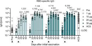 This is a very advanced server that does meticulous calculations. Bnt162b2 Induces Sars Cov 2 Neutralising Antibodies And T Cells In Humans Medrxiv