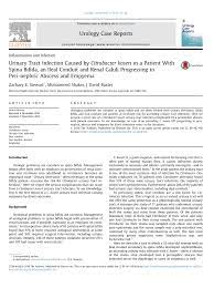 Pdf Urinary Tract Infection Caused By Citrobacter Koseri In A Patient With Spina Bifida An Ileal Conduit And Renal Caluli Progressing To Peri Nephric Abscess And Empyema