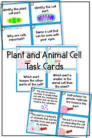 Plant And Animal Cell Activity Plant And Animal Cells Animal Cell Cells Activity