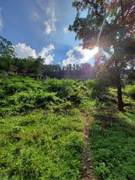 You can buy a dream or two to last you all through the years. 52 Places To Love In 2021 The New York Times