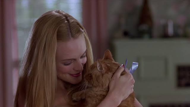 Say It Isn't So (2001) - Cinema Cats