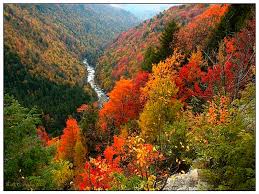 Maybe you would like to learn more about one of these? Blackwater Falls State Park A West Virginia State Park Located Near Elkins