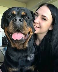 Some bonds don't need words… just a heartbeat and a paw. 🐾❤️