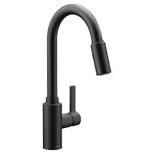 moen genta pulldown single handle