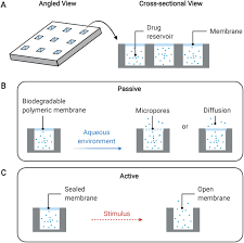Zero Order Drug Delivery State Of The Art And Future Prospects Sciencedirect