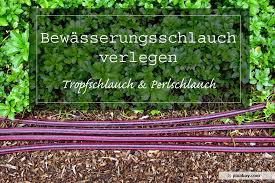 Eine automatische hunter gartenbewässerung, unterirdisch installiert, bewässert den garten effizient zu jeder vorprogrammierten zeit. Bewasserungsschlauch Verlegen Anleitung Fur Tropf Und Perlschlauch