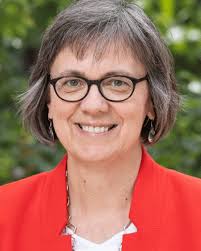 Non-Elected Members and Committees