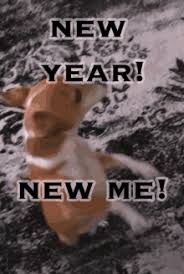 It's a 'to do' list for the first week of january. this is surprisingly accurate. New Year New Me Gifs Tenor