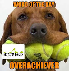 Overachiever Advanced English Vocabulary English Vocabulary English Vocabulary Words