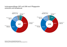 In der pflegestufe i werden die geringsten und in der pflegestufe iii die höchsten leistungen erbracht. Pflegestufen Und Pflegegrade Das Zweite Pflegestarkungsgesetz In Zahlen Sparten Versicherungsbote De