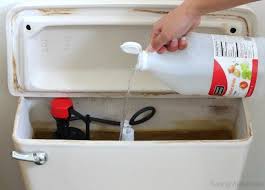 Diy Natural Toilet Cleaner Bathroom Toilet Cleaning Tips Toilet Cleaning Hacks Natural Toilet Cleaner Toilet Cleaning