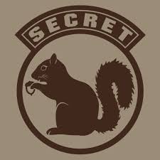 Check spelling or type a new query. 7 Secret Squirrel Ideas Squirrel Secret Squirrel Funny Animals