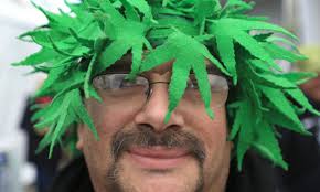 Emerald Cup proves a big draw (w/video)