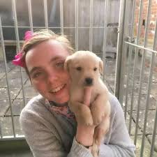 Our dogs were abused and burnt