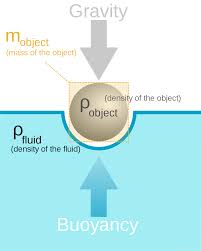 In this video we will conduct an experiment to find the. Buoyancy Wikipedia
