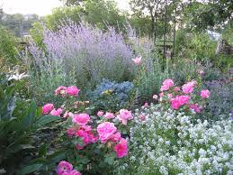 Maybe you would like to learn more about one of these? Garden Pictures From Today Rose Gallery Forum Gardenweb Landscaping With Roses Rose Companion Plants Garden Pictures