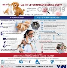 Click to setup an appointment. Pet Animal Hospital Home Facebook