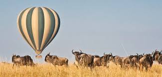 Finde bei uns zahlreiche ballons zu jedem anlass ✓ heliumballon verschicken zum wunschtermin ☆ jetzt mit helium gefüllte ballons kaufen und als ballonpost verschenken! Africa Eco Adventures Ltd Www Maraballooning Com