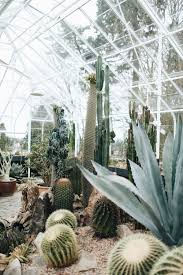 Birdasaurus Kate Zimmerman Plants Pretty Plants Planting Flowers